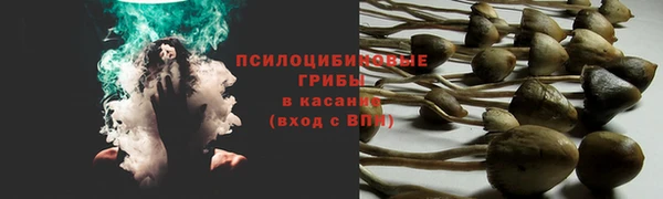 каннабис Коряжма