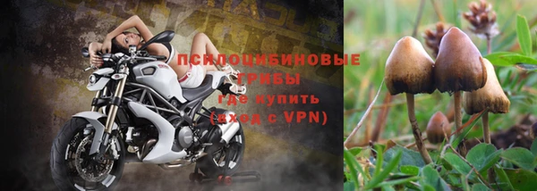 гидропоника Костерёво