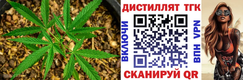 Дистиллят ТГК концентрат  Купить где  Барнаул 