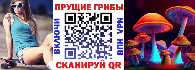 Купить закладки  Барнаул  Галлюциногенные грибы Cubensis 